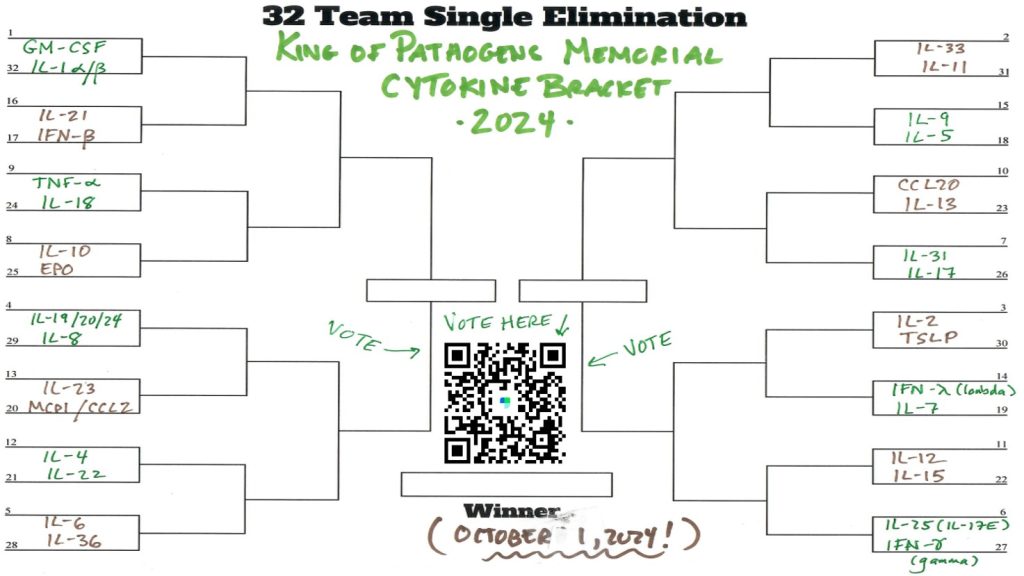 Cytokines Bracket 2024